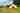 Luna bell tent (pet friendly) 