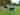 Non-electric grass tent pitch (solo) 