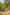 Electric gravel and earth pitch (premium) 