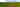 Ramsey Island Field non-electric grass tent, trailer tent or campervan pitch