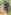 Kocoon camping pod (twin, two person) 