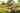 Bell tent 