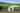 Orchard non-electric grass tent or trailer tent pitch