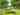 Electric grass touring caravan pitch 