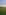 Non-electric grass tent pitch 