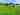 Non-electric grass tent, trailer tent or campervan pitch 