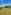 Non-electric grass tent pitch 