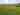 Non-electric grass tent or trailer tent pitch 