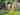 Pheasant Blue 1 bedroom camping pod (four person) 