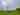 Electric grass tent pitch 