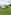Electric hardstanding and grass touring pitch