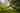 Evelyn bell tent (maximum 2 adults)