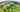 Willows non-electric grass tent or trailer tent pitch