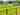 Electric optional grass tent or trailer tent pitch 