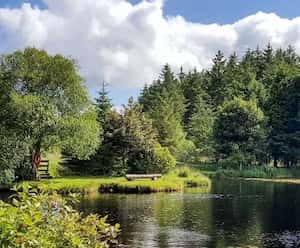 Northern Ireland