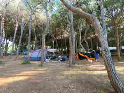 Expliciet afstuderen mug Goedkope campings voor tenten in Sardinië, Italië 2023 vanaf € 15 per nacht  - Pitchup