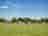Mousley House Farm Campsite: Grass pitches