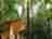 Redwood Valley - Woodland Cabin and Yurts