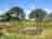 Milkmaid Meadow Campsite: Pond view from campsite