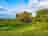 Lower Porthamel Camping: Visitor image of pitches on site