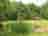 Driftaway Camping Woodlands: Safari tent set in meadow