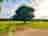 Cae Malwen Farm: Peaceful relaxing Campsite