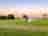 Little Fish Meadow