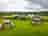 Penuwch Inn Caravan and Camping: Picnic tables with a view