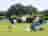 St Leonards Farm Caravan and Camping Park: Non-electric pitches