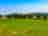 Marshwood  Copse: View of the camping field