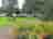 Holly Bush Park: Grass pitches