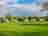Myrtle Farm Holidays: Grass pitches