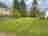 The Devonshire Arms: Grass pitches on site