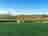 Lane End Farm: Visitor image of grass pitches on site