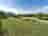 Holmsley Caravan and Camping Site