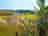 Marshwood Farm: Camping field