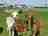 Marshlands Alpacas: The farm residents