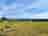 Haddon Copse Farm: Visitor image of their view from the Tent