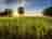 High Lodge Farm: Dog-friendly camping in Oxfordshire