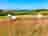 Giddy Farm
