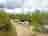 Matley Wood Caravan and Camping Site: Pitches between the trees