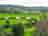Mains Farm Camping and Caravan Site