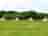 Lepe Meadows Campsite: Plenty of space between the bell tents to park your car