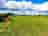 Wilton Farm: Visitor image of the field