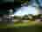 Long Acres Caravan and Camping Park: Tree-lined camping area