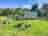 Micklefield Cottage