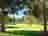 Speyside Gardens Caravan Park: View through the trees