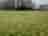 Daisy's Farm: Grassy pitches
