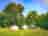 Wellness Woodlands: Site view