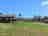 Feather Down - Fountain Violet: A small-scale farm